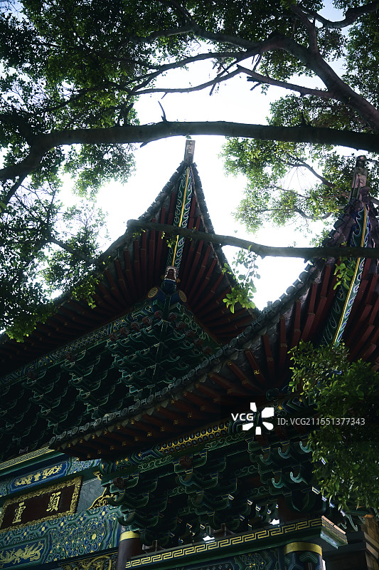 云南思茅图片素材