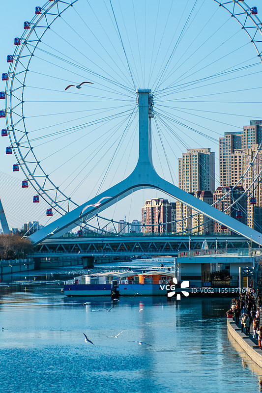 天津之眼与海鸥图片素材