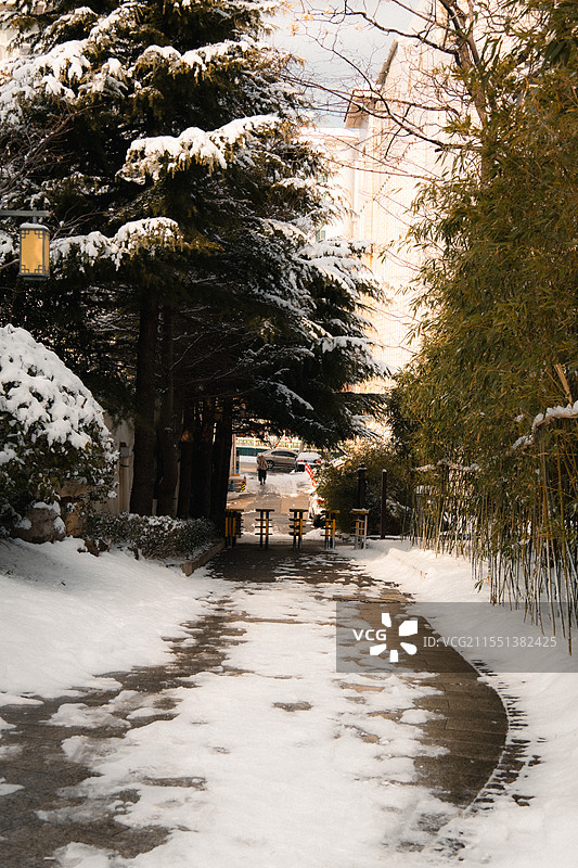 雪天小径图片素材