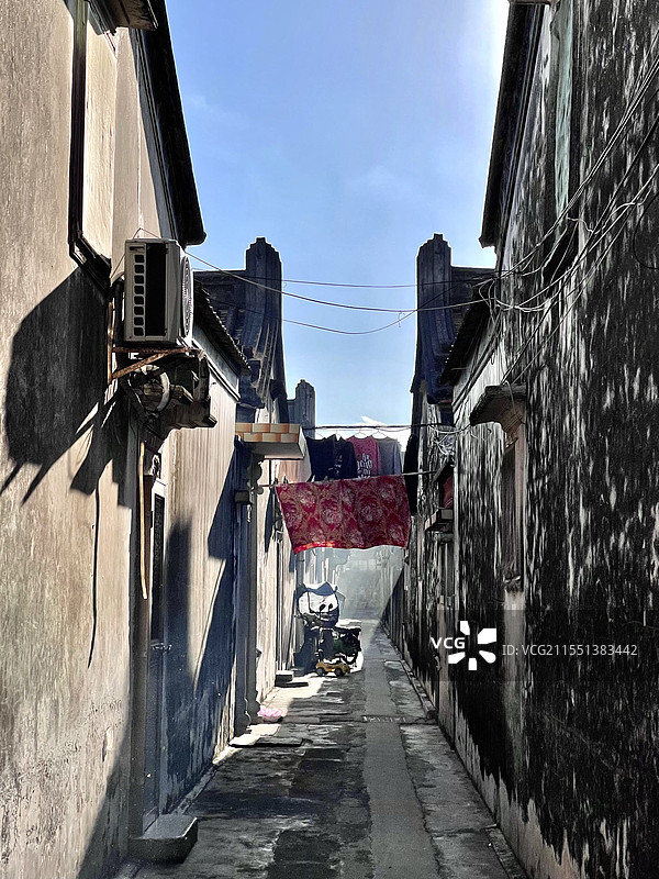 潮汕下山虎图片素材