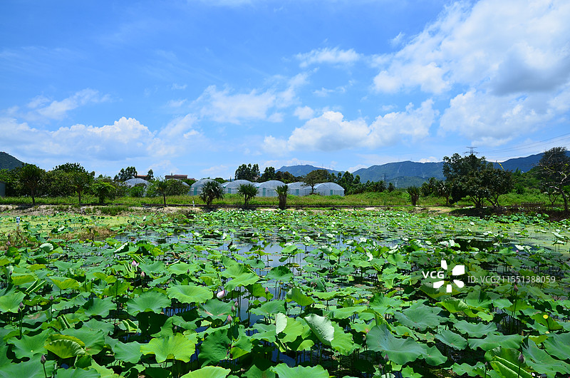 美丽乡村图片素材