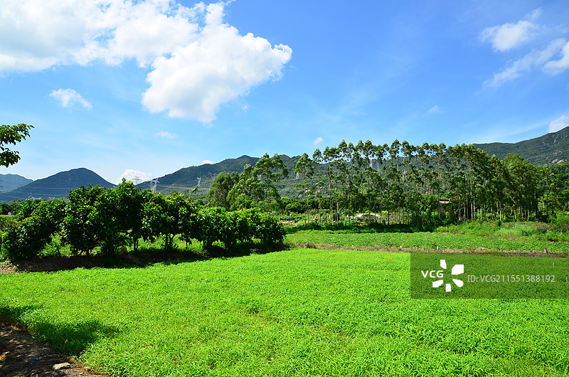 美丽乡村图片素材