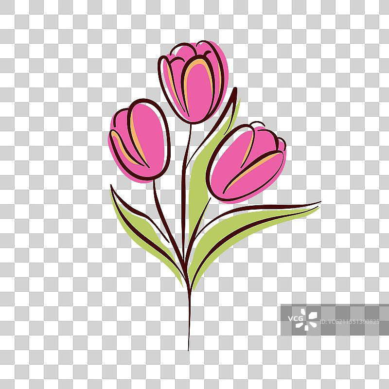 粉色花瓣的郁金香花朵，简约扁平风格图片素材