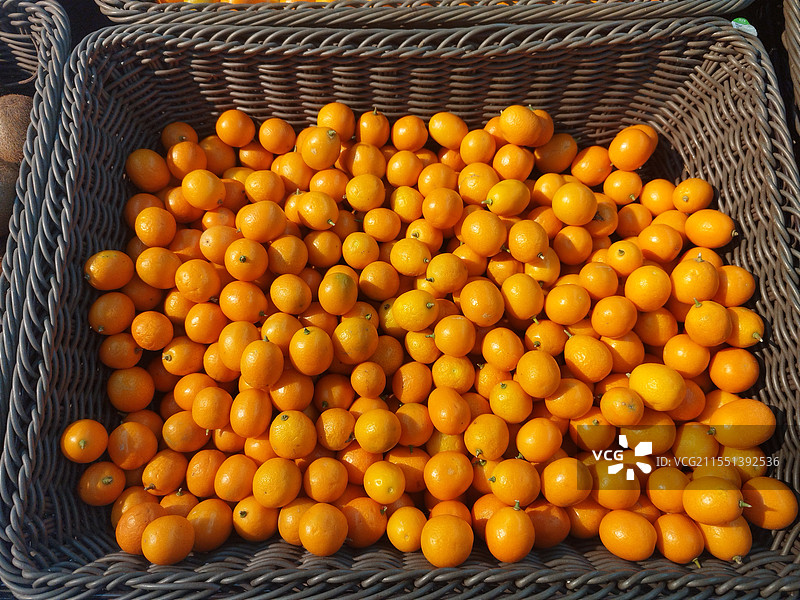 果篮里的金桔图片素材