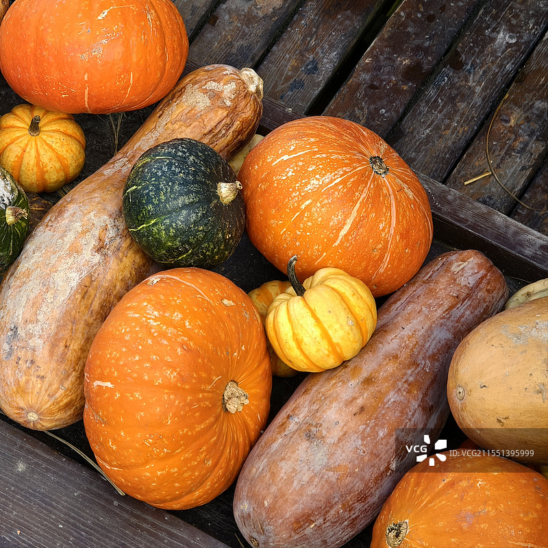 杭州西溪湿地景区秋晒（南瓜）俯拍视图图片素材