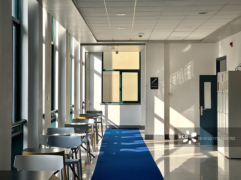 洒入晨光图片素材