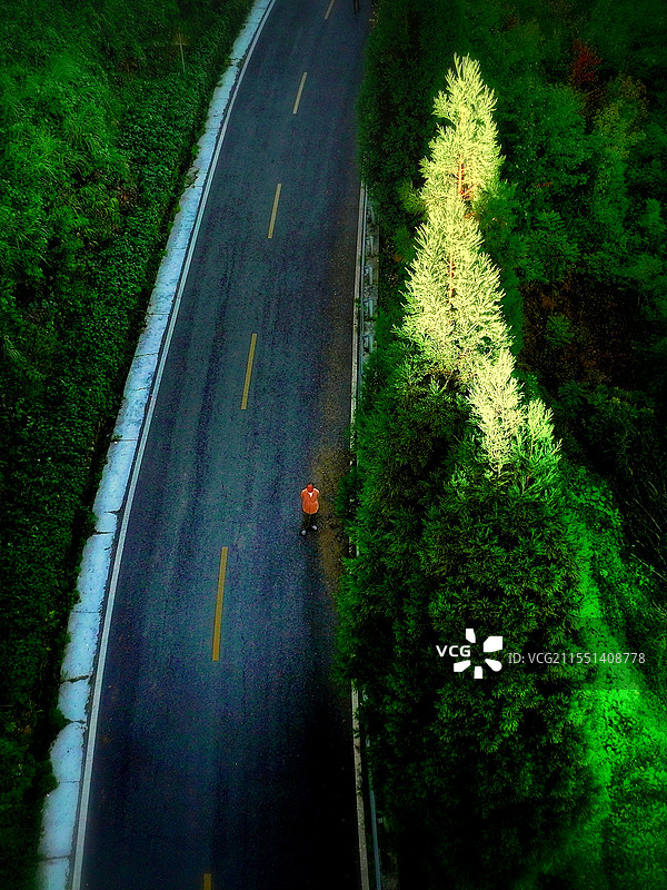 南宝山晨影图片素材