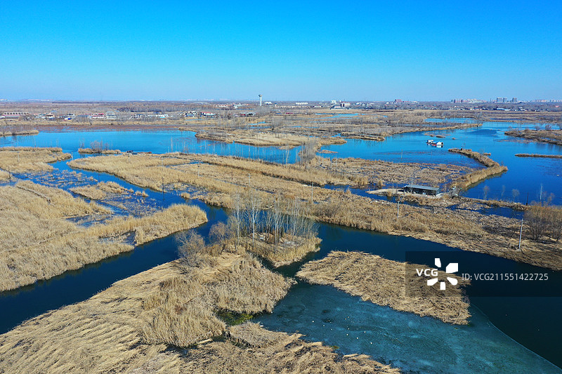 苇荡初萌柳色新，青芦影里晓氤氲碧波摇碎一湖云，清气匀开万树春邵庄子图片素材
