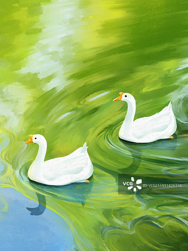 春江水暖鸭先知图片素材