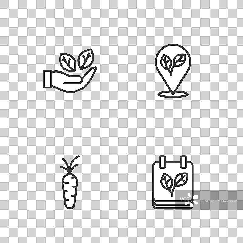 秋叶胡萝卜叶的线性日历设置图片素材