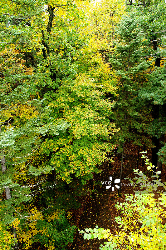 黑龙江溪水国家森林公园图片素材