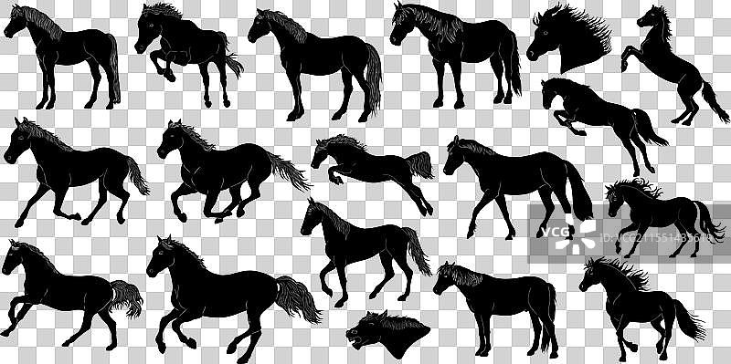 一组黑色马的剪影元素图片素材