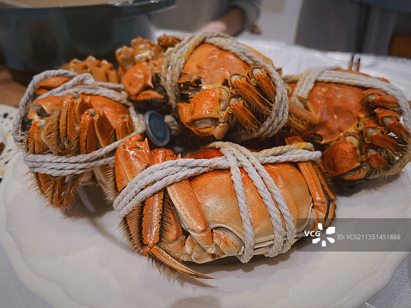 大闸蟹图片素材