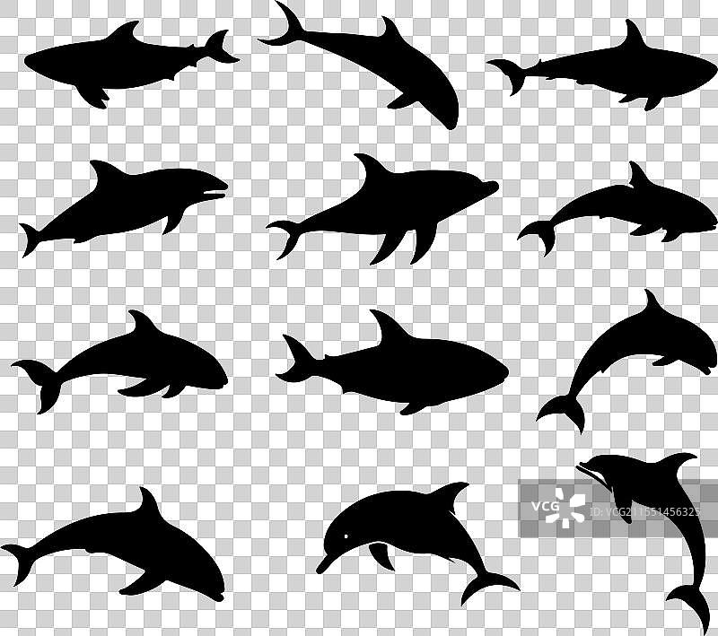 鲸鱼和海豚剪影套装图片素材