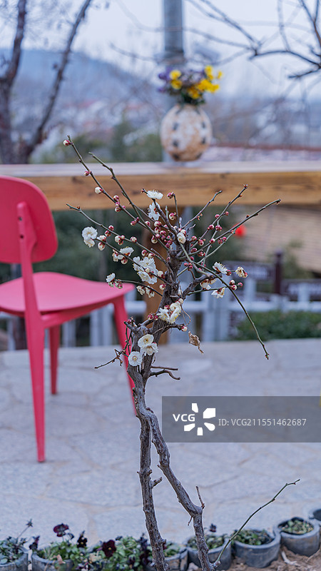 梁堂古村（拍摄于徐州市铜山区张集镇）图片素材