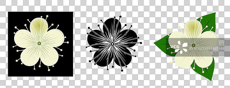 紫苏花组合图片素材