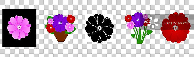 矮牵牛花组合，带有花蕾和绿色叶子图片素材