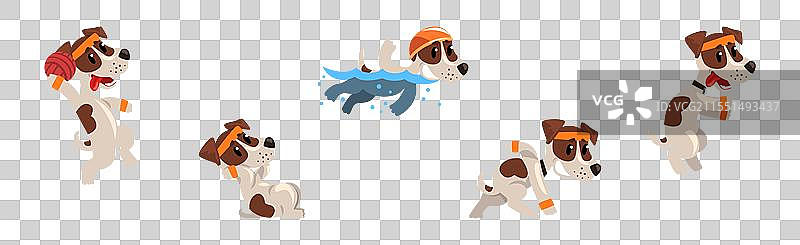 搞笑的杰克罗素梗小狗进行体育活动图片素材