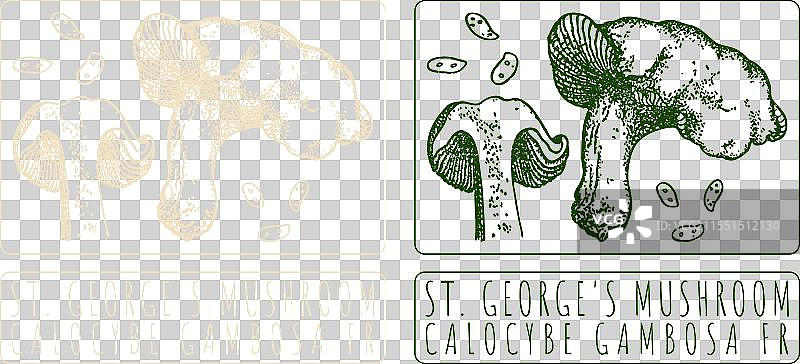 手绘圣乔治蘑菇图片素材