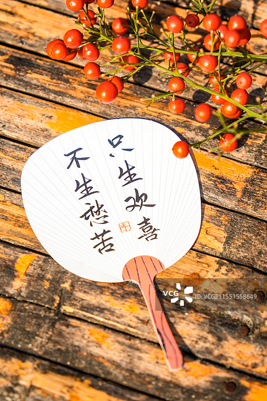 中式配饰木质装饰扇不生愁苦 只生欢喜图片素材