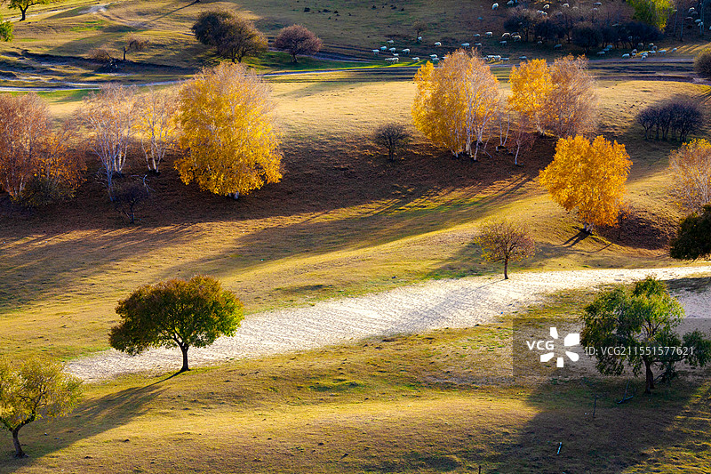 草原的光影图片素材