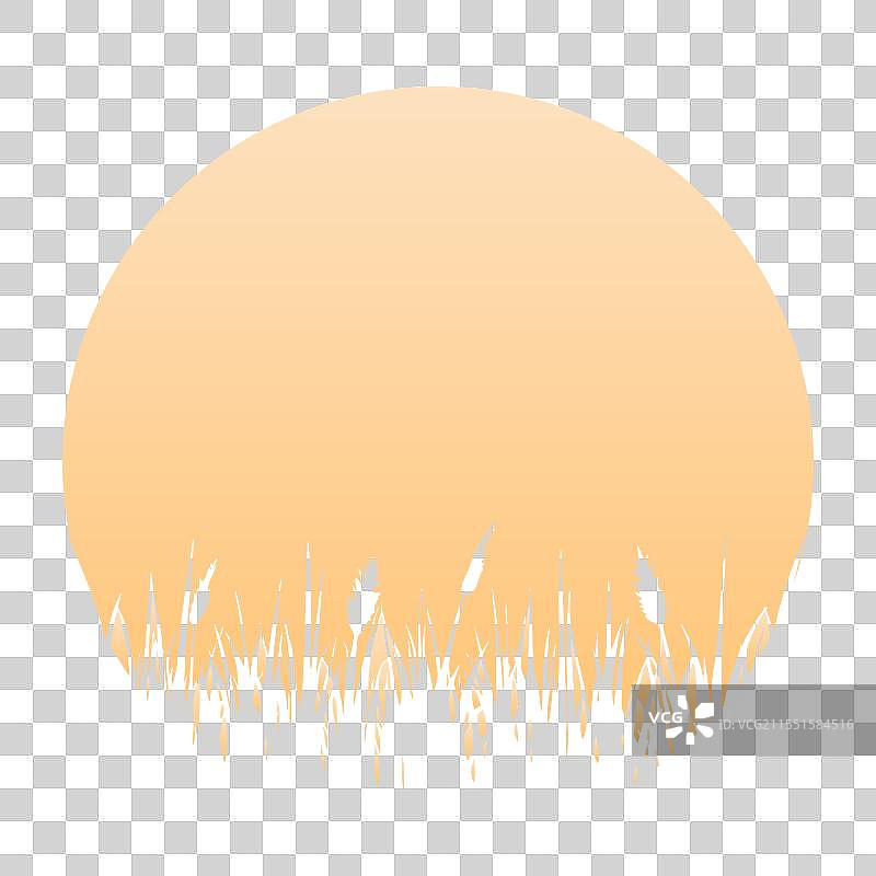 雪纳瑞复古日落图片素材