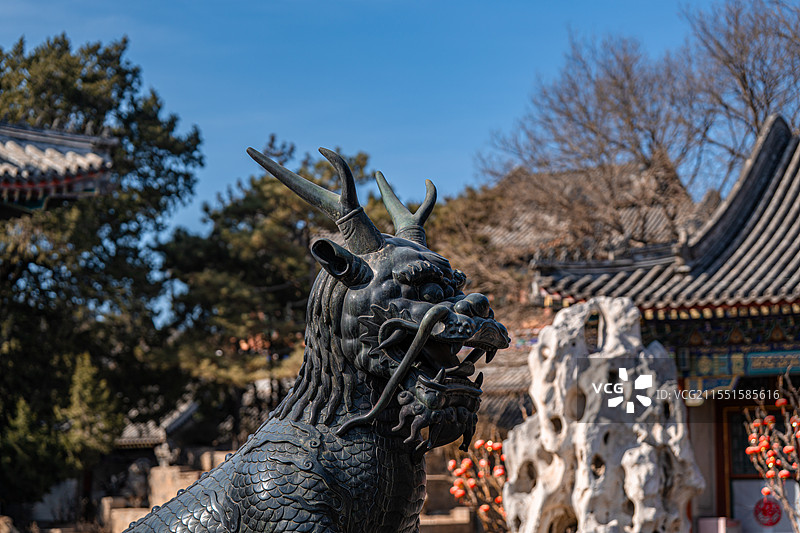 颐和园 仁寿殿 铜麒麟 明清皇家园林 世界文化遗产 明清古建筑图片素材