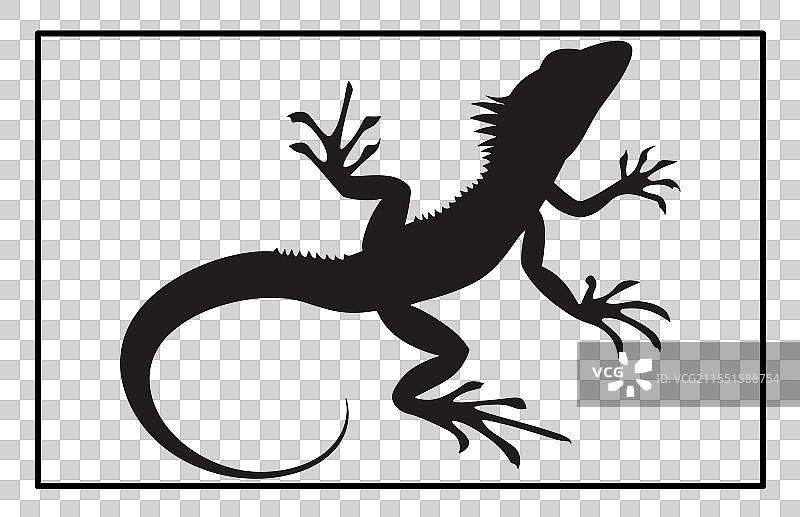 蜥蜴剪影套装图片素材
