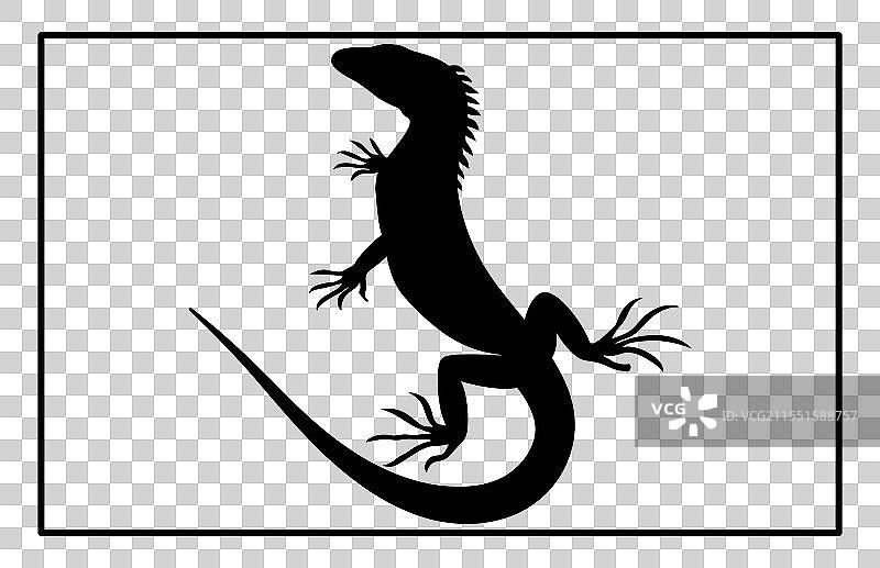 蜥蜴剪影套装图片素材