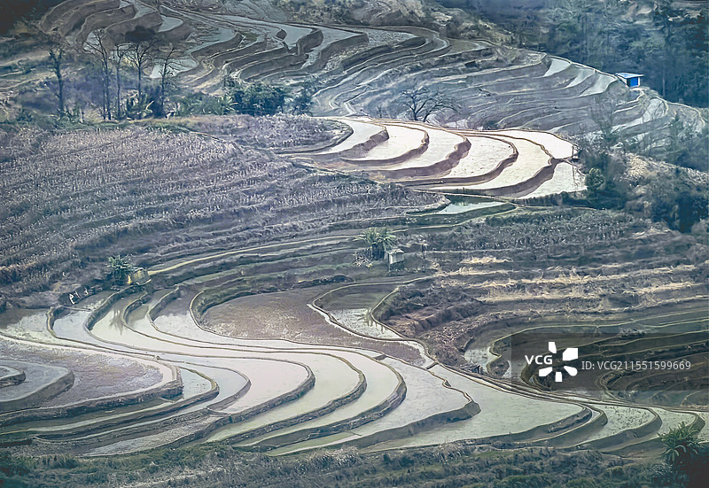 元阳哈尼梯田阴天景象图片素材