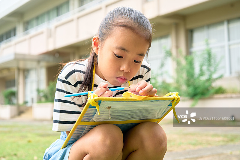 在户外学习的日本孩子图片素材