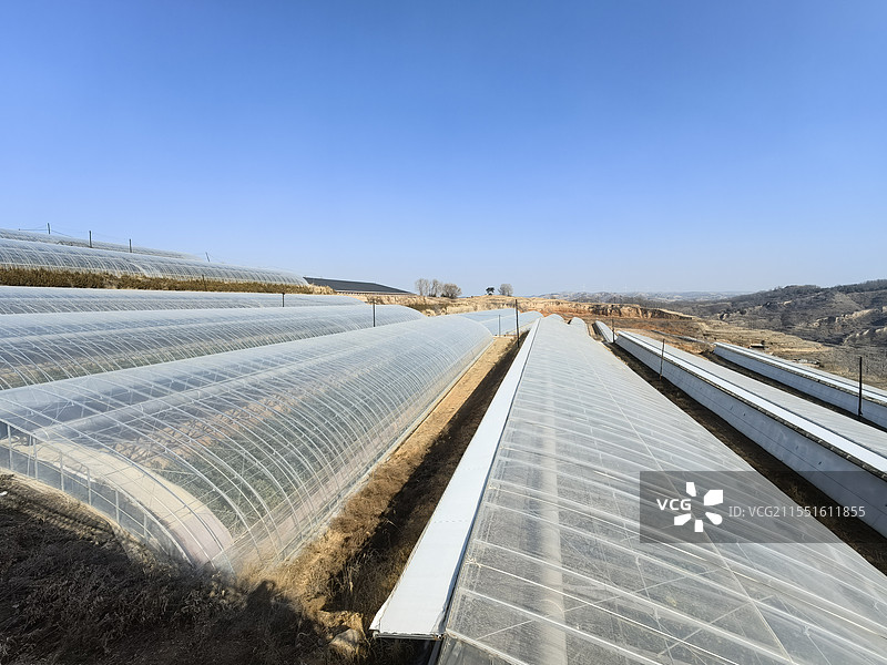 设施大棚图片素材