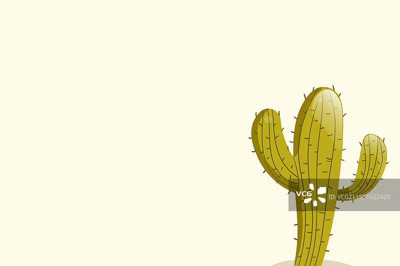 高大的多肉仙人掌，带有颜色的刺图片素材