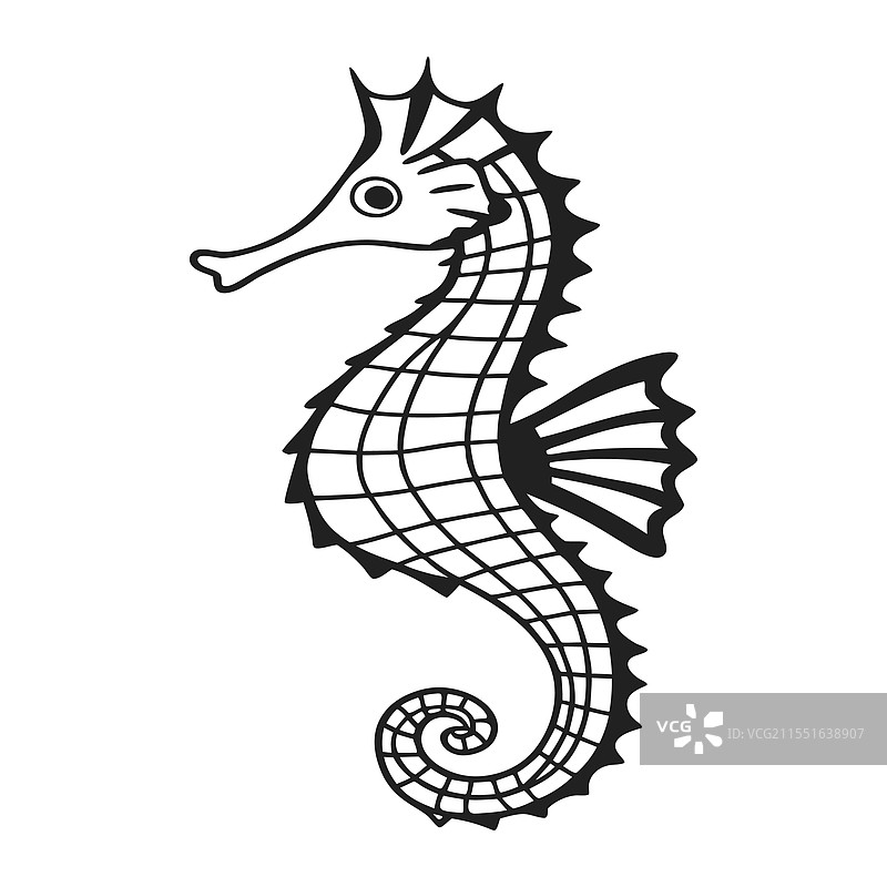 海龙，水下奇妙动物图片素材