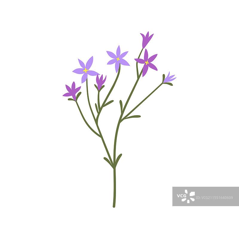 温柔的花朵绽放的花枝图片素材