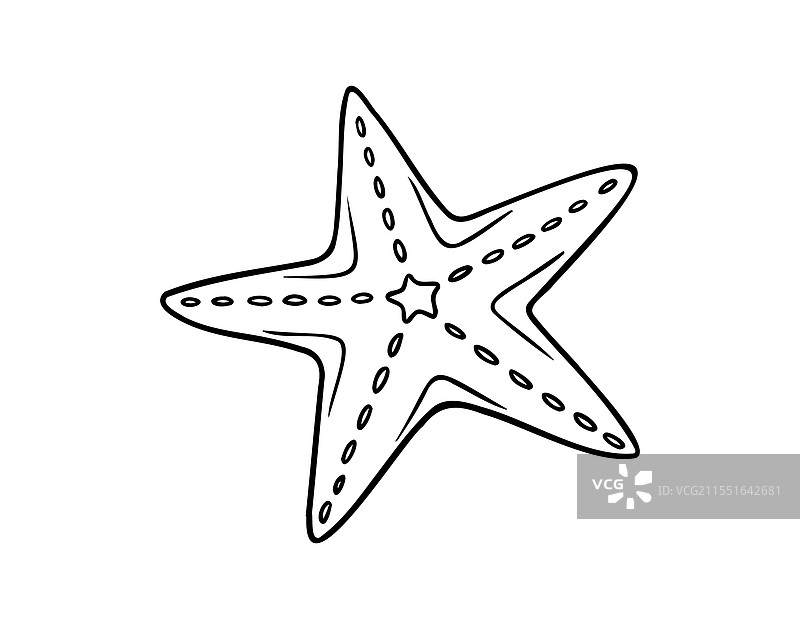 手绘线条素描海星涂鸦装饰图案图片素材