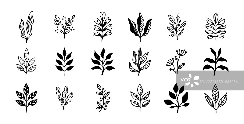 手绘轮廓涂鸦花卉元素叶子套装图片素材