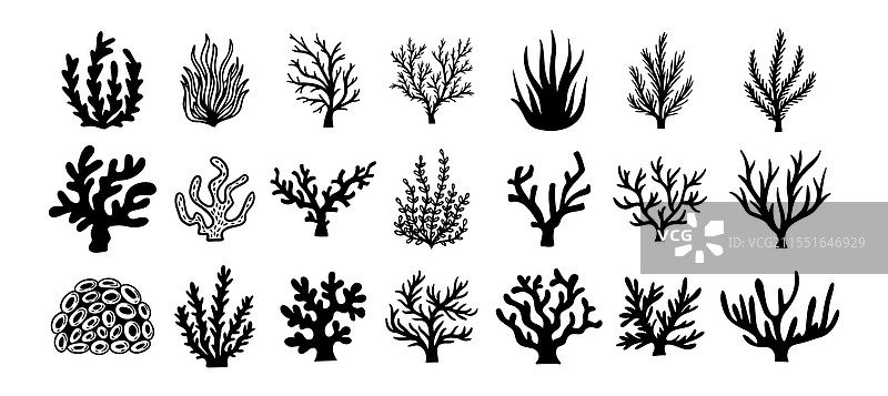 黑色抽象海藻珊瑚剪影图标图片素材