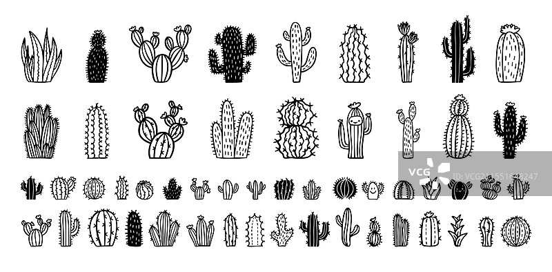 手绘仙人掌图标 仙人掌涂鸦套装 可爱图片素材