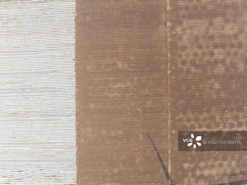 河南省 周口市 淮阳区 宛丘生态农场 农业 高标准农田 自动灌溉系统 覆盖地膜 浇水图片素材