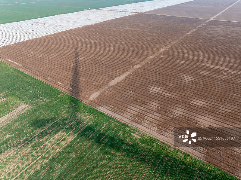 河南省 周口市 淮阳区 宛丘生态农场 农业 高标准农田 自动灌溉系统 覆盖地膜 浇水图片素材