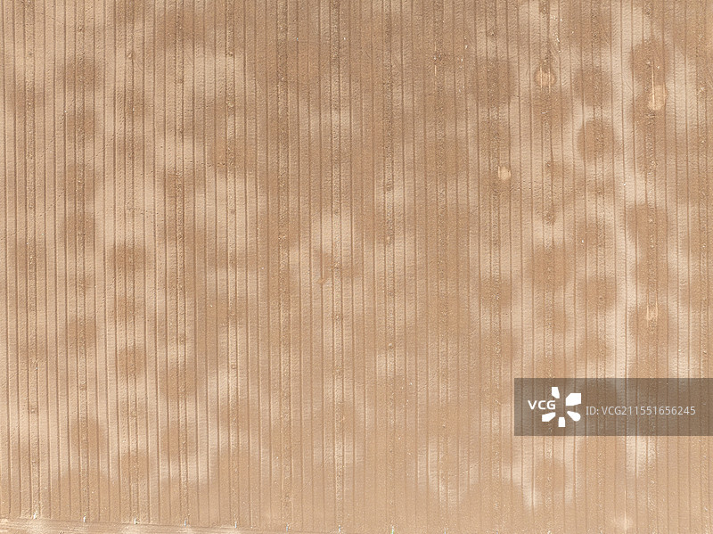 河南省 周口市 淮阳区 宛丘生态农场 农业 高标准农田 自动灌溉系统 覆盖地膜 浇水图片素材