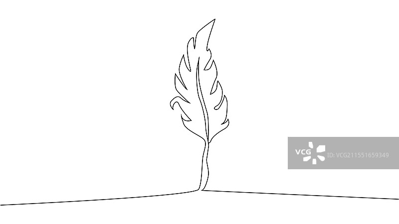 连续一笔自画像图片素材