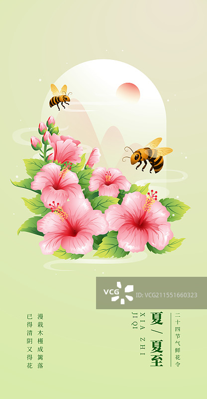 新中式二十四节气夏至和木槿花矢量插画海报图片素材
