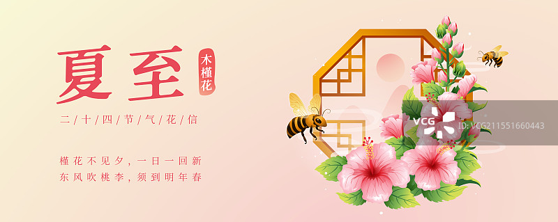 新中式二十四节气夏至和木槿花矢量插画海报图片素材