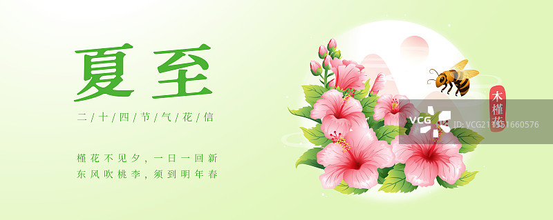 新中式二十四节气夏至和木槿花矢量插画海报图片素材