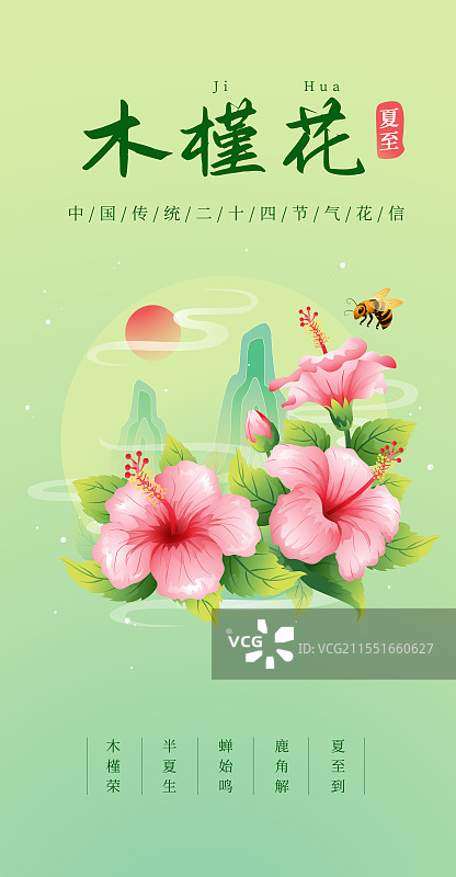 新中式二十四节气夏至和木槿花矢量插画海报图片素材