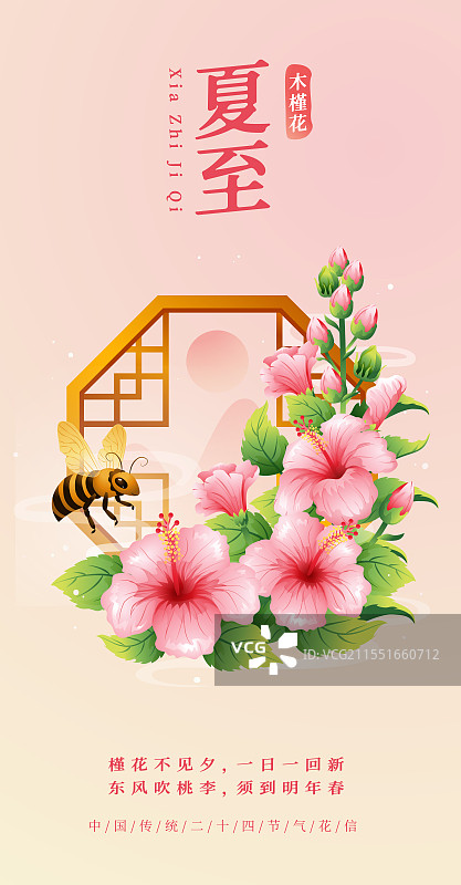 新中式二十四节气夏至和木槿花矢量插画海报图片素材