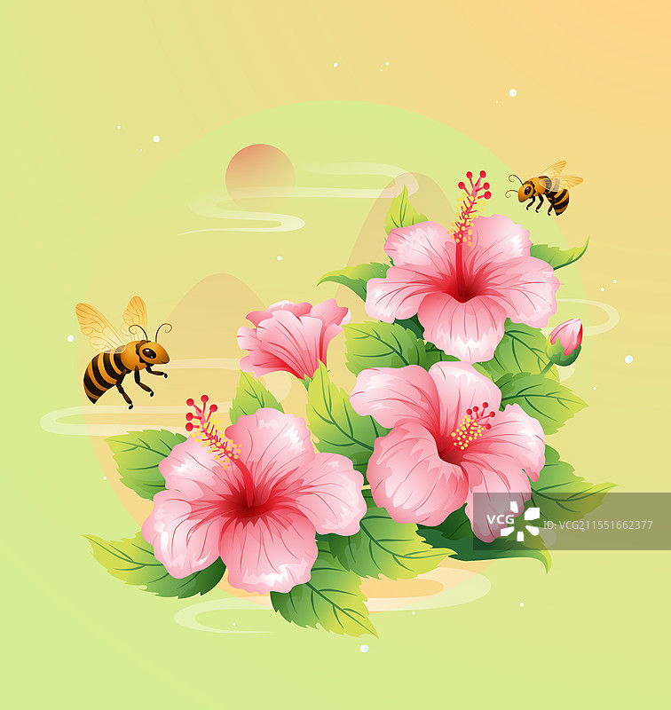 新中式二十四节气夏至 和木槿花矢量插画图片素材