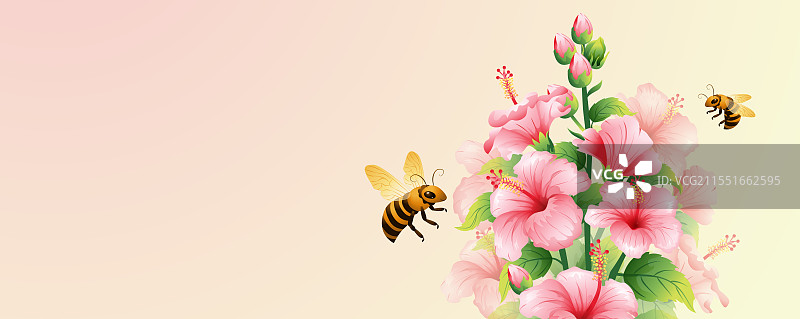 新中式二十四节气夏至 和木槿花矢量插画图片素材